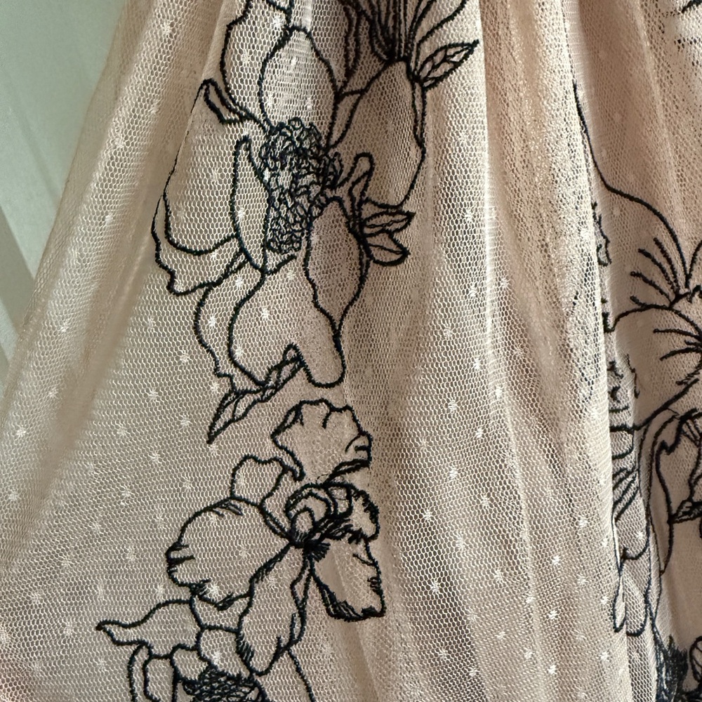 Express Pink Tulle Dress with Black Straps, Embroidered - Picture 9 of 11